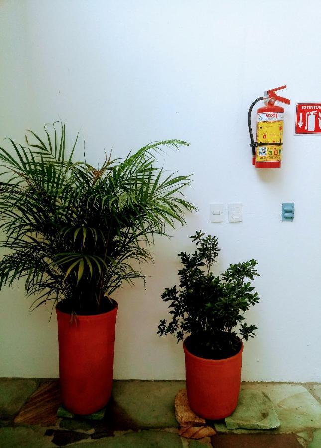ホテル Casa Shalom Oaxaca エクステリア 写真