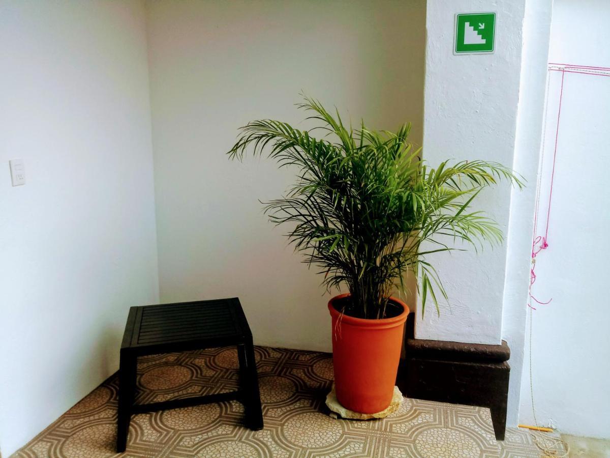 ホテル Casa Shalom Oaxaca エクステリア 写真